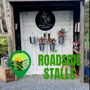 roadside stalls